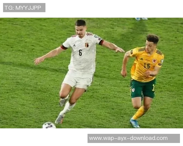 比利时与捷克足球对决全方位分析战术走势及球员表现